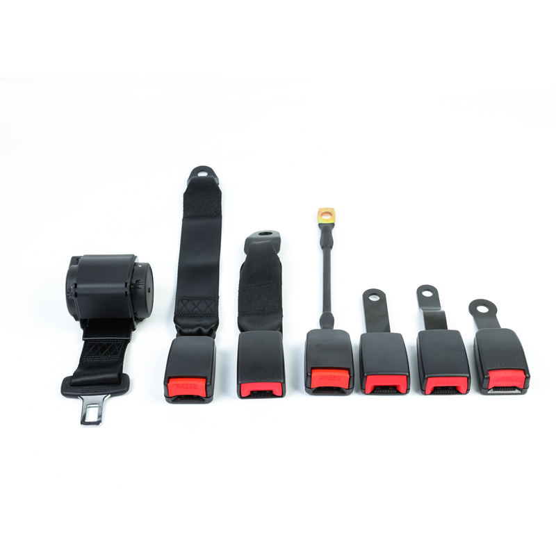 Automatic Retractable Two-point Safety Belt