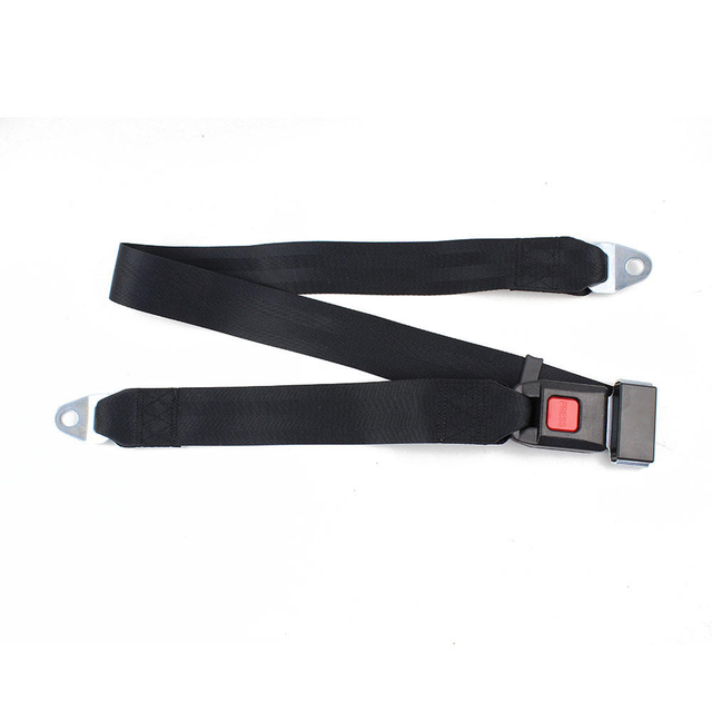 Simple Two Point Seat Belts
