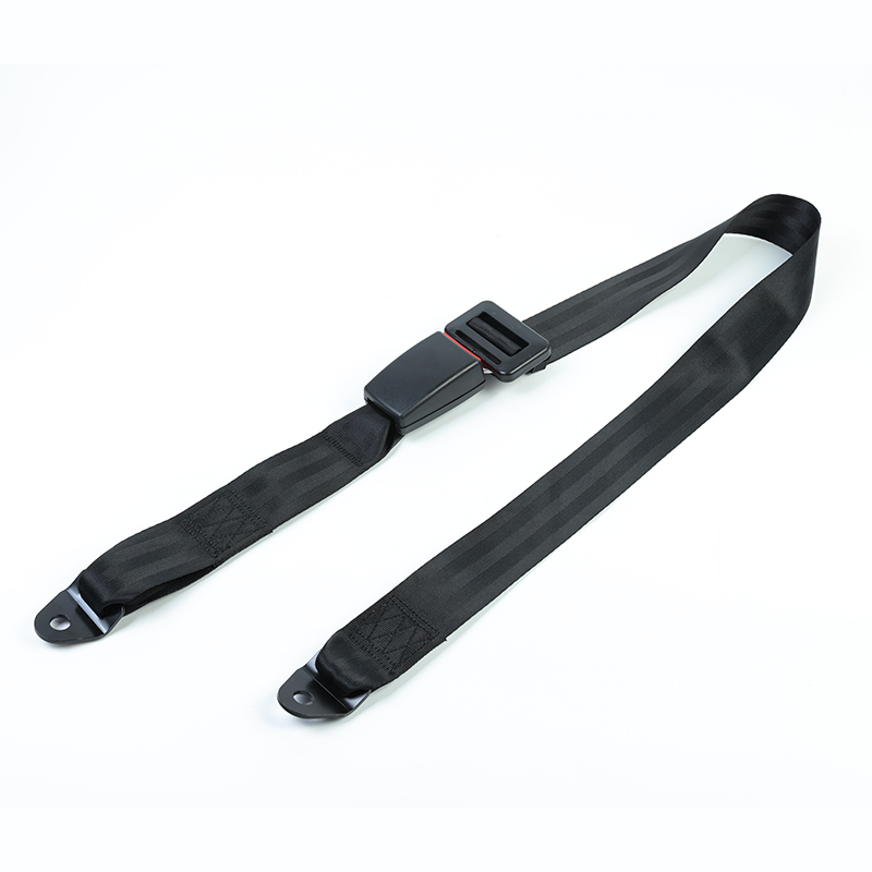 Simple Two Point Seat Belt