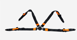 Four point seat belt