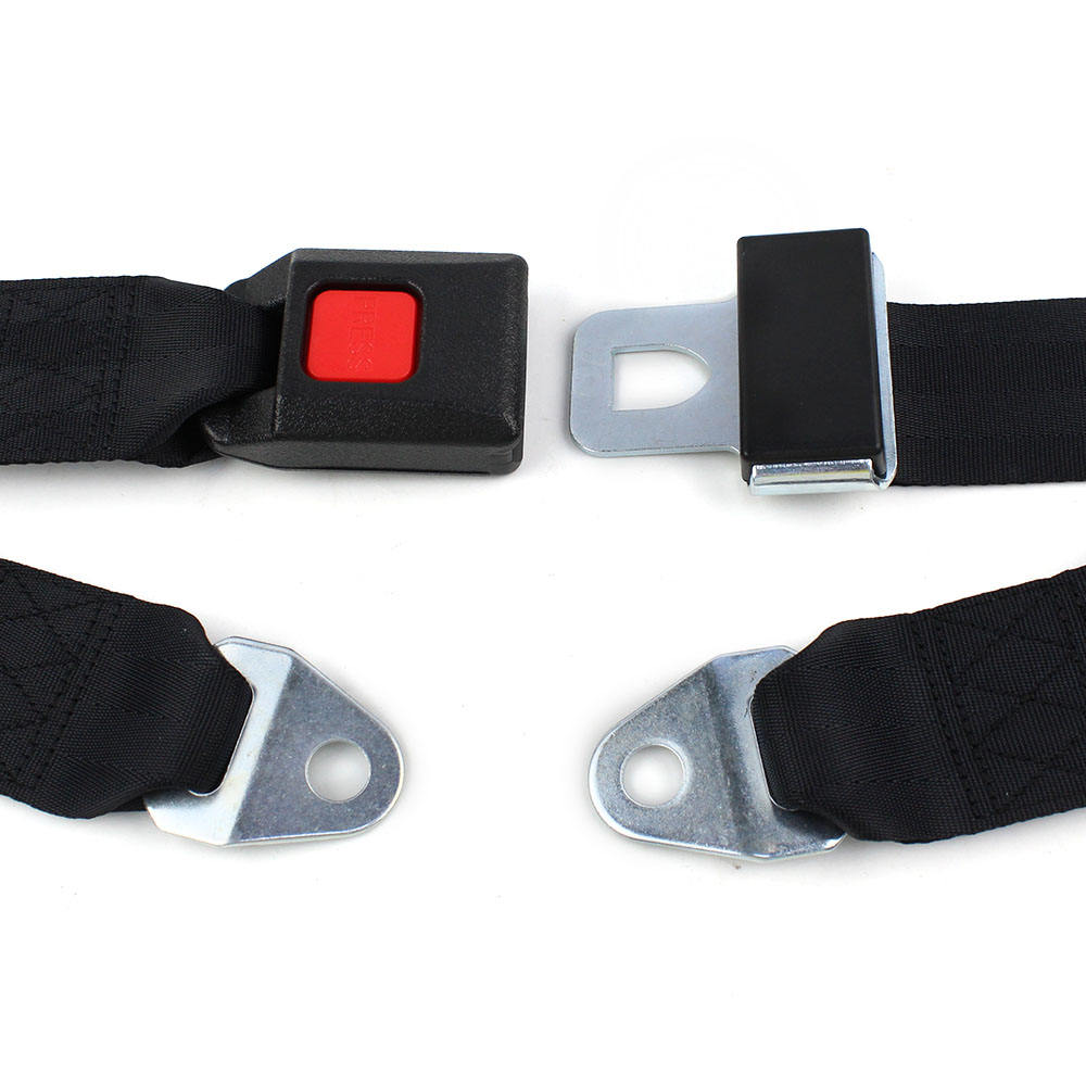 Simple Two Point Seat Belts