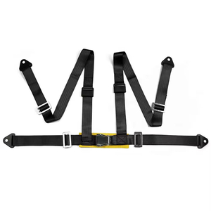 4 Points Racing Seat Belt