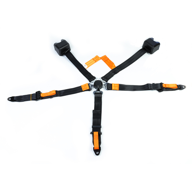 Five point seat belt